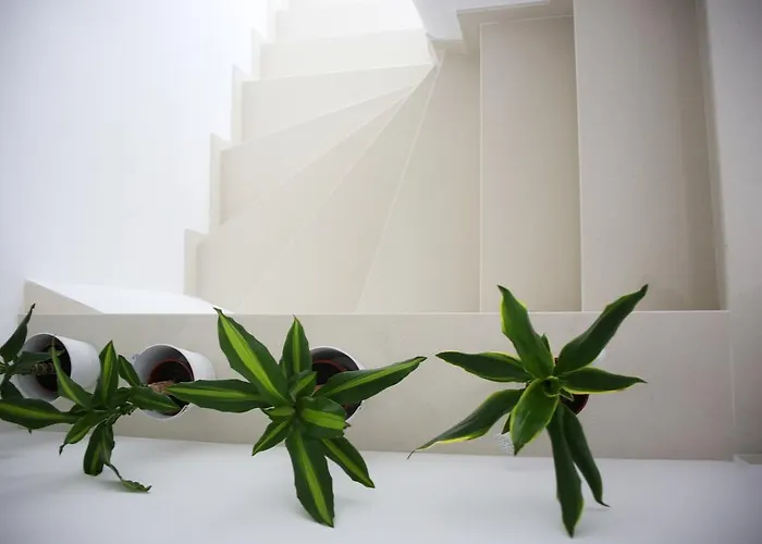 Lile Villa Baška Voda